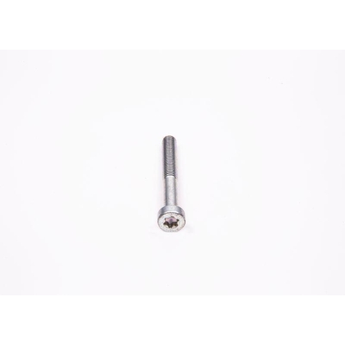 Schraube Bosch 1463414312 für Alfa Romeo Fiat International Harv. Iveco Lancia