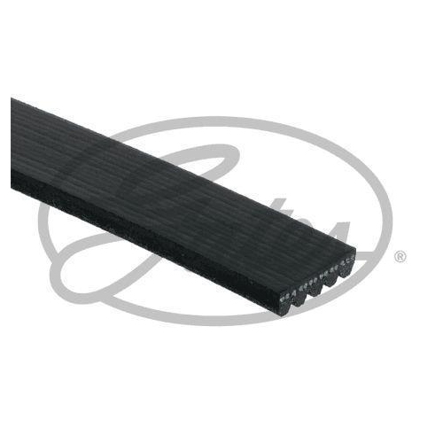 Keilrippenriemen Gates 5PK711SF Micro-v&reg; Stretch Fit&trade; f&uuml;r Ford