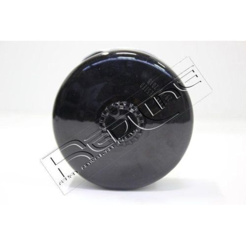 Kraftstofffilter Red-line 37RV013 f&uuml;r Land Rover