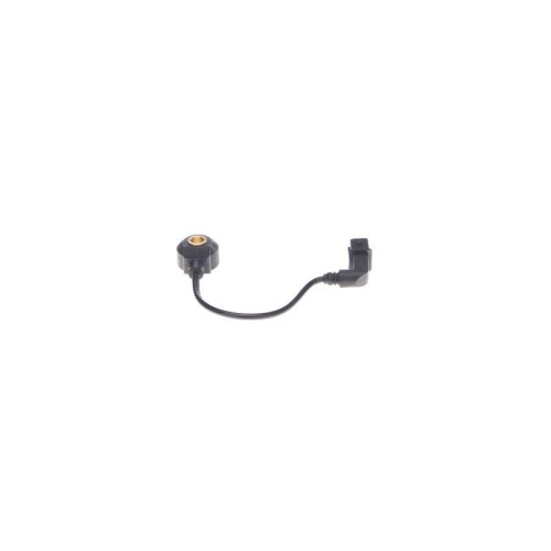 Klopfsensor Bosch 0261231072 für Bmw