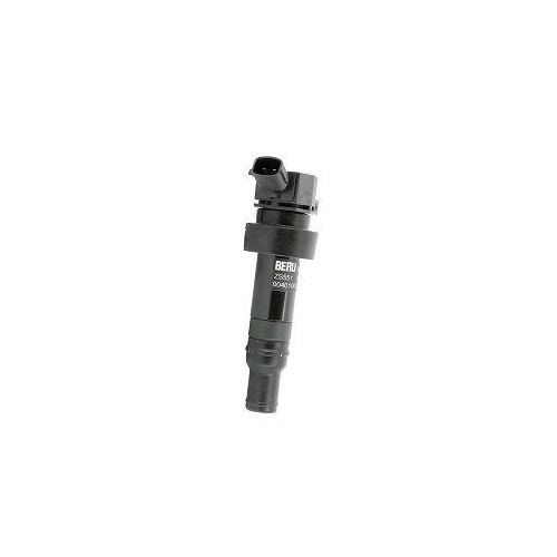Z&uuml;ndspule Borgwarner (beru) ZS551 f&uuml;r Hyundai Kia