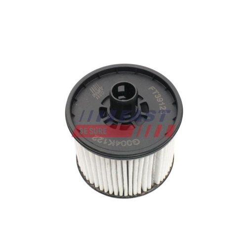 Filter Kraftstoff F&ouml;rdereinheit Fast FT39123 f&uuml;r Citro&euml;n Fiat Opel Toyota