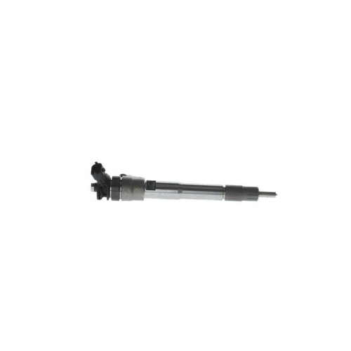 Einspritzdüse Bosch 0445110895 für Renault