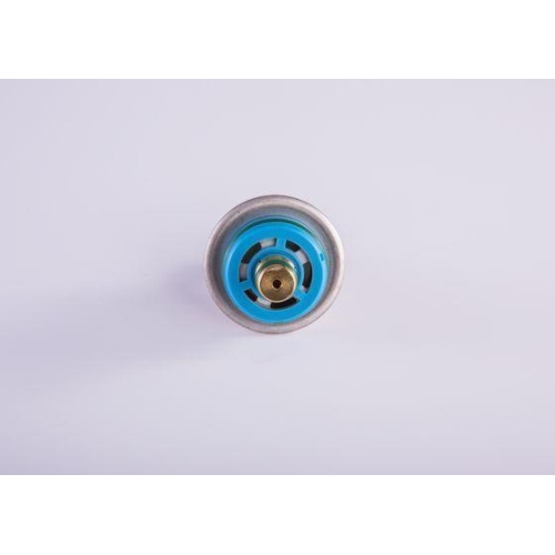 Kraftstoffdruckregler Bosch 0280160585 für