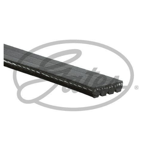Keilrippenriemen Gates 4PK1022SF Micro-v&reg; Stretch Fit&trade; f&uuml;r Fiat