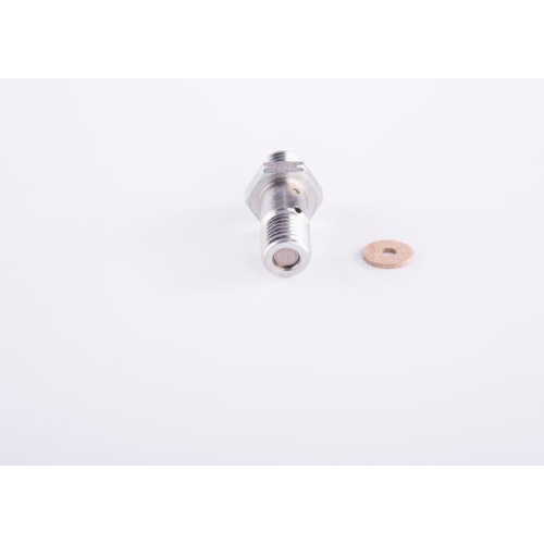 Ventil Einspritzanlage Bosch 2467413025 für Bmw Nissan Renault Rover VW