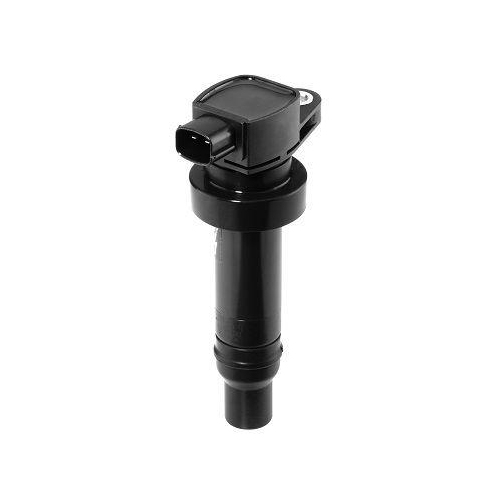 Z&uuml;ndspule Borgwarner (beru) ZS475 f&uuml;r Hyundai Kia Standard Automobile