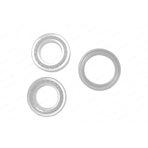Radlagersatz Moog FD-WB-11218 f&uuml;r Ford Mazda Massey Ferguson Hinterachse