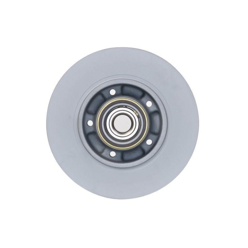 Bremsscheibe Bosch 0986479C88 f&uuml;r Renault Dacia Hinterachse