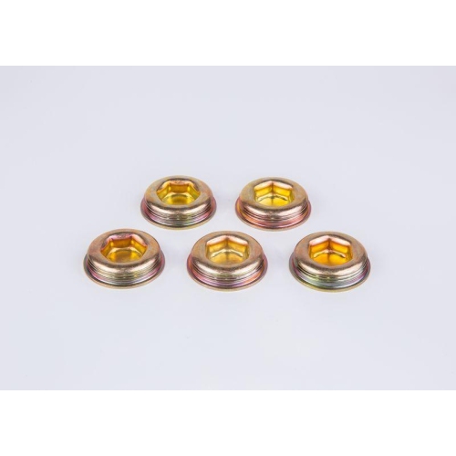 Screw Bosch 1420560004 for Berliet Daf Fiat Henschel International Harv. Iveco