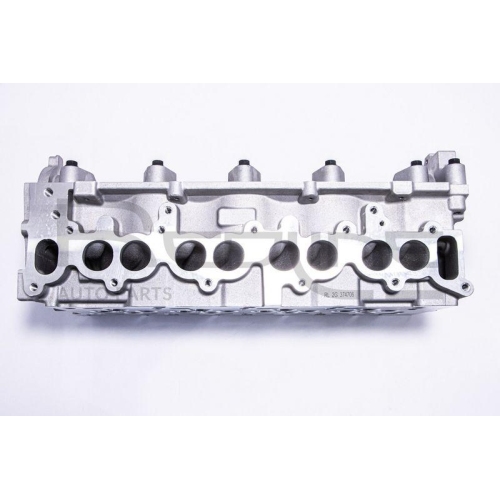 Zylinderkopf Red-line 21HY006 f&uuml;r Hyundai