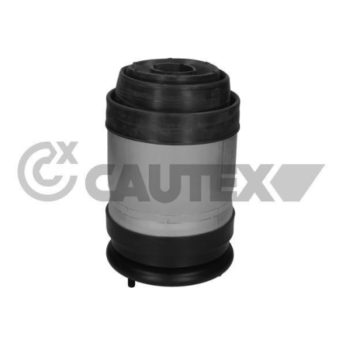 Luftfeder Fahrwerk Cautex 752888 für Land Rover Hinterachse