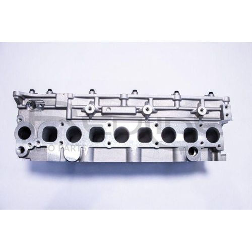 Zylinderkopf Red-line 21KI004 f&uuml;r Hyundai Kia