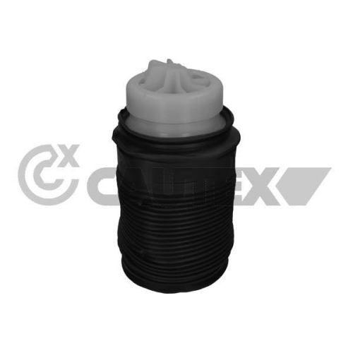 Luftfeder Fahrwerk Cautex 753190 f&uuml;r Mercedes Benz Mercedes Benz Mercedes Benz