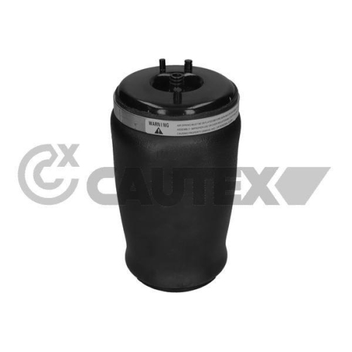 Luftfeder Fahrwerk Cautex 753271 für Bmw Hinterachse Links