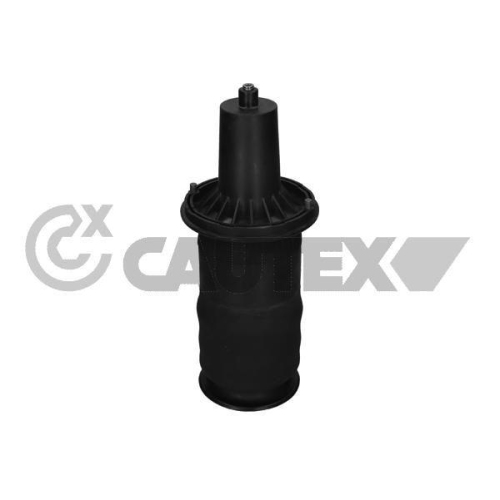 Luftfeder Fahrwerk Cautex 753462 für Land Rover Vorderachse