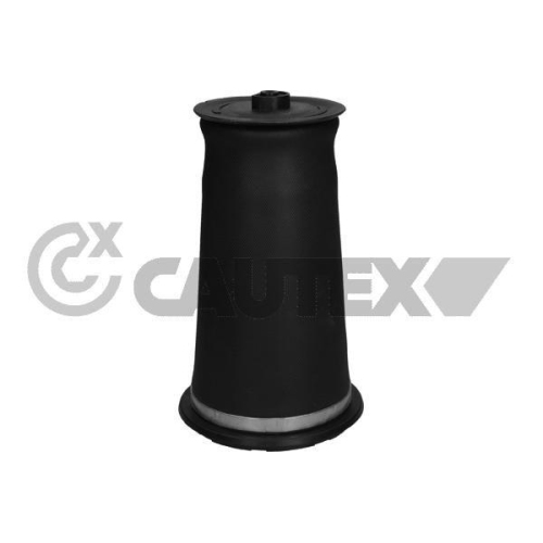 Luftfeder Fahrwerk Cautex 753484 für Land Rover Hinterachse