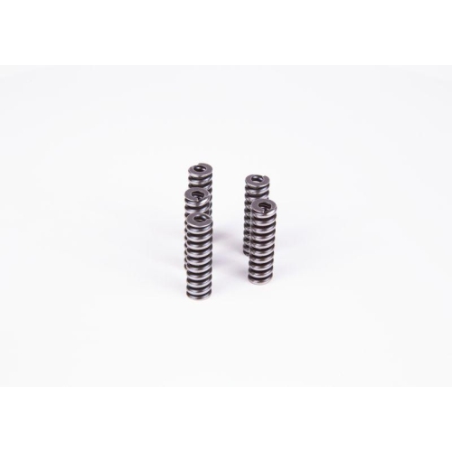Spring Bosch 2434614055 for