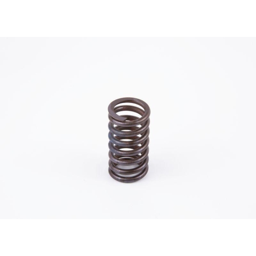 Spring Bosch 2434614017 for Fiat Iveco Magirus Deutz Magirus Deutz Renault