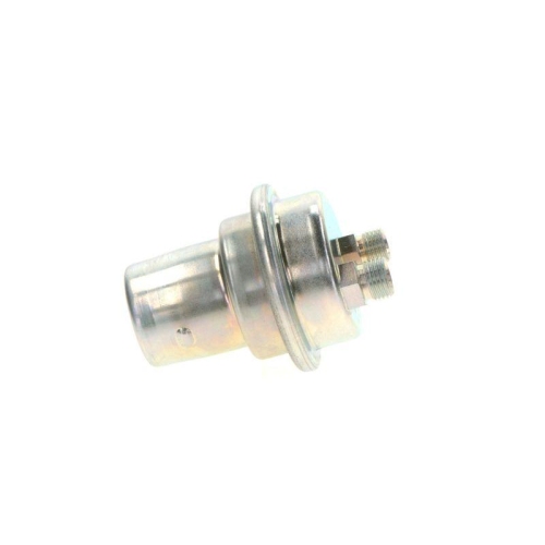 Druckspeicher Kraftstoffdruck Bosch 0438170001 für Audi Bmw Gmc Saab Volvo VW