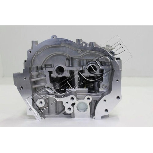 Zylinderkopf Red-line 21NI033 f&uuml;r Opel Renault Vauxhall