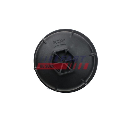 &Ouml;lk&uuml;hler Motor&ouml;l Fast FT55423 f&uuml;r Fiat