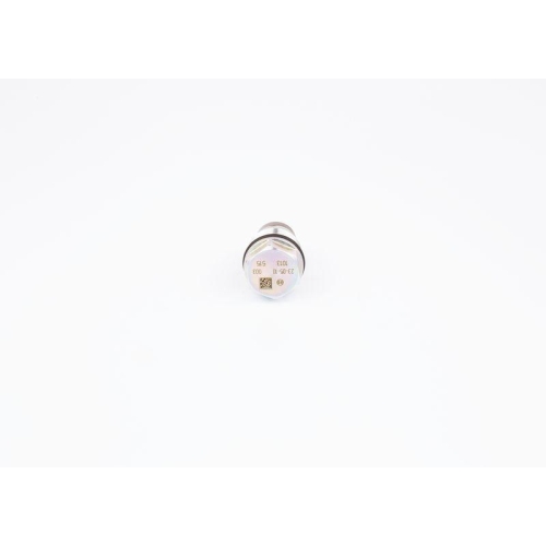 Druckbegrenzungsventil Common Rail System Bosch 1110010013 für Gmc Isuzu Cummins