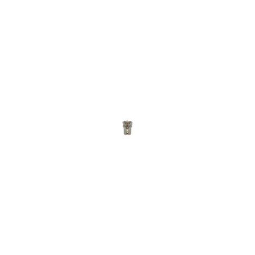Gl&uuml;hlampe Bosch 1987302515 Trucklight f&uuml;r