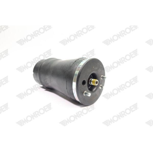 Air Spring Suspension Monroe ASP012 for Bmw