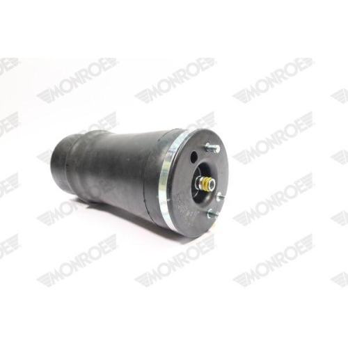 Air Spring Suspension Monroe ASP013 for Bmw