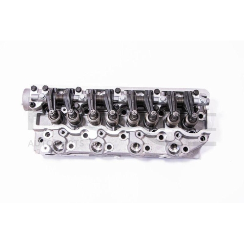 Cylinder Head Red-line 21MI015 for Mitsubishi Hyundai Amc