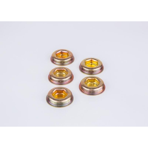 Screw Bosch 1420560004 for Berliet Daf Fiat Henschel International Harv. Iveco