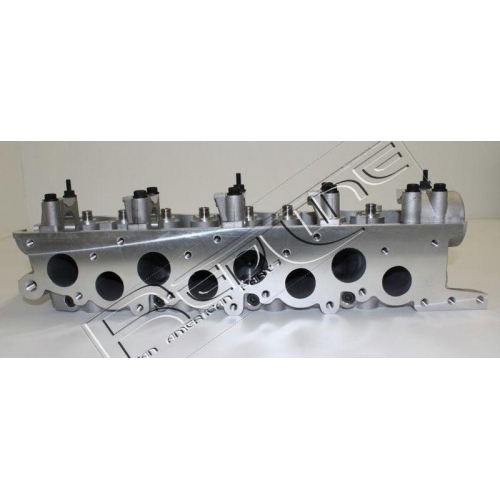 Zylinderkopf Red-line 21MI010 f&uuml;r Mitsubishi Hyundai